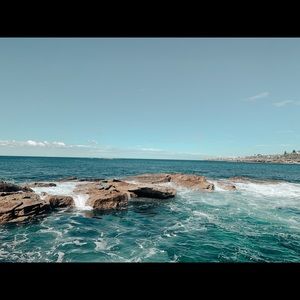 Meet your Posher, Bella